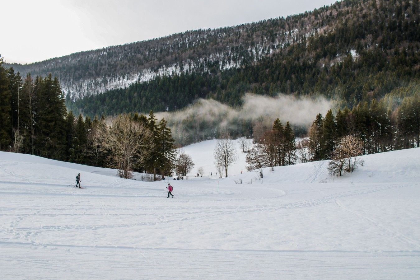 Schneebedeckte Landschaft mit einer Skipiste, Bäumen und einem bewaldeten Berg im Hintergrund.