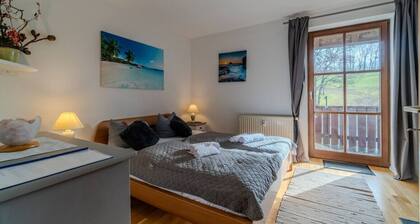 Schönes 1 Zimmer, Sauna, Schwimmbad, Free Parking