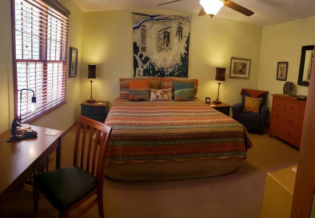 Standard Double Room, 1 King Bed, Non Smoking, Mountain View | Iron/ironing board, free WiFi