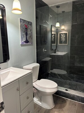 Shower, hair dryer, towels, soap - Quaint 3-bedroom house in sunny Tampa Florida, 13 mins from downtown /Ybor city. (Tampa)