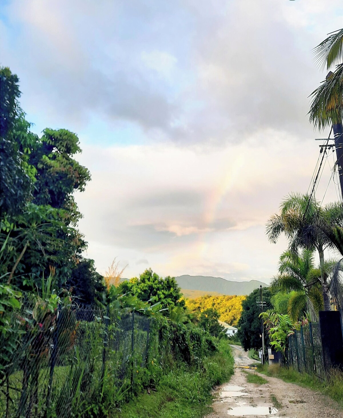 オーナーのプロフィール画像