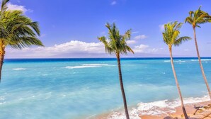 Ein Strand mit klarem türkisblauem Wasser, Palmen und einem sandigen Ufer.