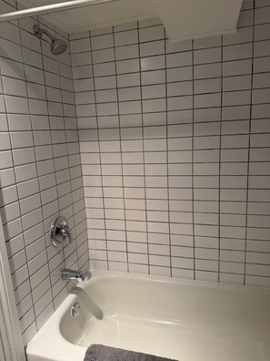 Hair dryer, towels, soap - Spacious 1 Bedroom Suite on Subway Line! (Toronto)