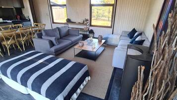 Smart TV, fireplace, books, stereo