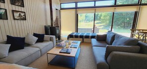 Smart TV, fireplace, books, stereo