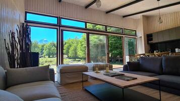 Smart TV, fireplace, books, stereo