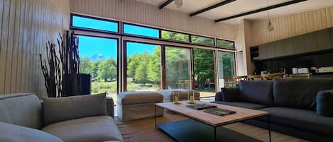 Smart TV, chimenea, libros y estéreo