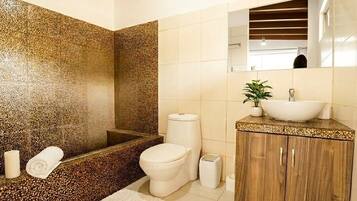 Douche, sèche-cheveux, serviettes fournies, savon