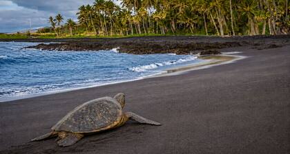 Beautiful Volcano Getaway With Hot Tub Near National Park