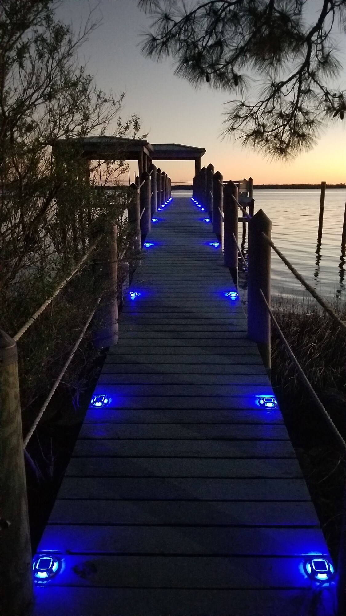 Imagen de perfil del propietario o de la propietaria