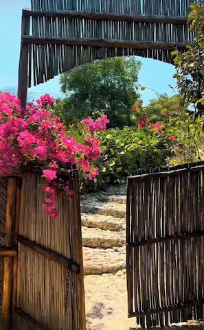 Property grounds - Beautiful private cabana with Jacuzzi, just one minute from the beach. (Tierra Bomba)