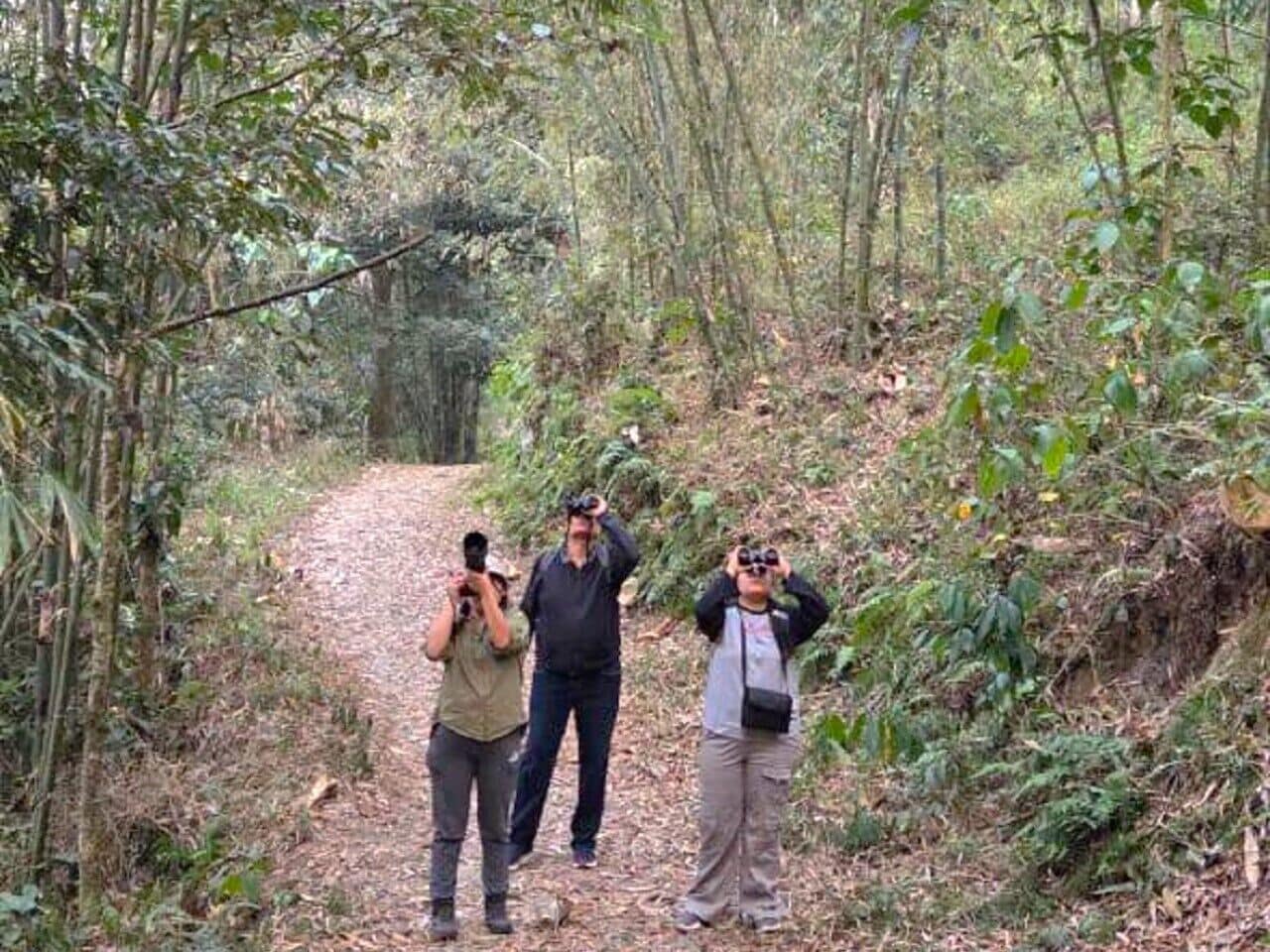 Three people in a forested area, one holding a camera.