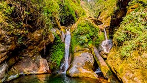 Une cascade naturelle où une eau claire s’écoule sur des rochers pour se déverser dans un bassin entouré d’une végétation luxuriante.