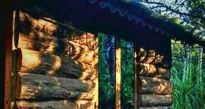 Yangsum Village Homestay