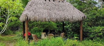 Unique 1-bedroom with AC in Bonita Springs FL. Htd pool, Fruit trees, Oak Creek.