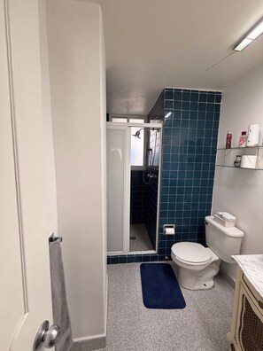 Shower, hair dryer, towels, soap - Private furnished room in Polanco, ideal for short stays (Ciudad de México)