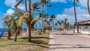 Una carretera pavimentada bordeada de palmeras y sillas de playa, que conduce a un edificio con techo de tejas.