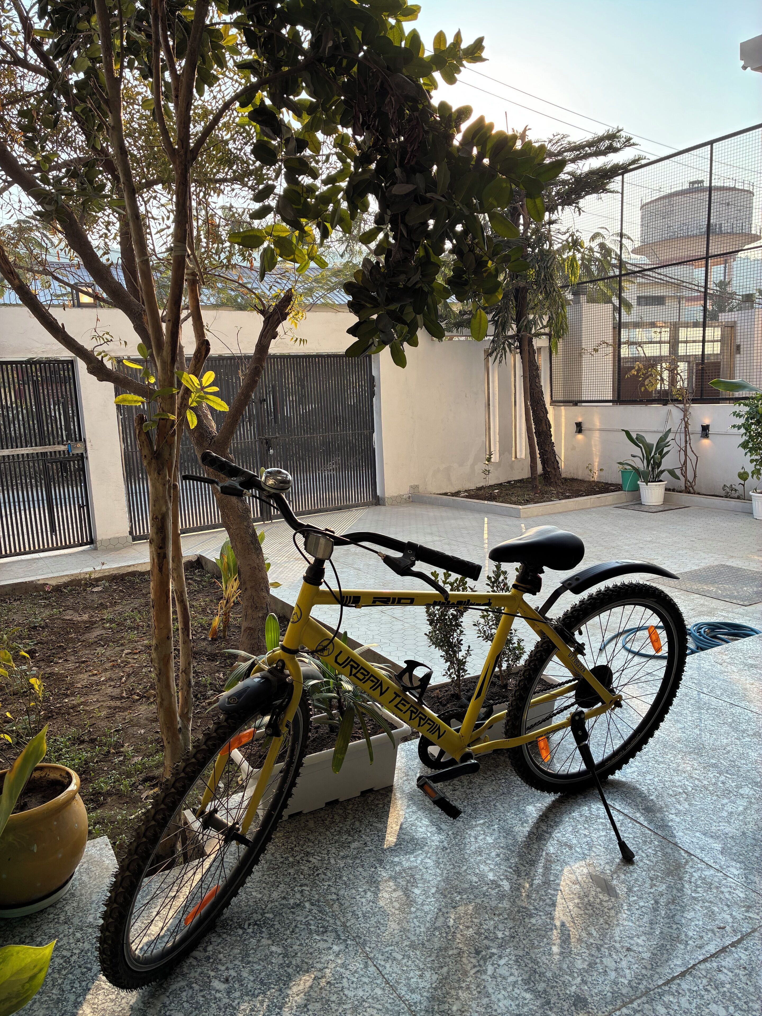 Una bicicleta amarilla estacionada cerca de un árbol en un patio con una valla metálica y un depósito de agua al fondo.