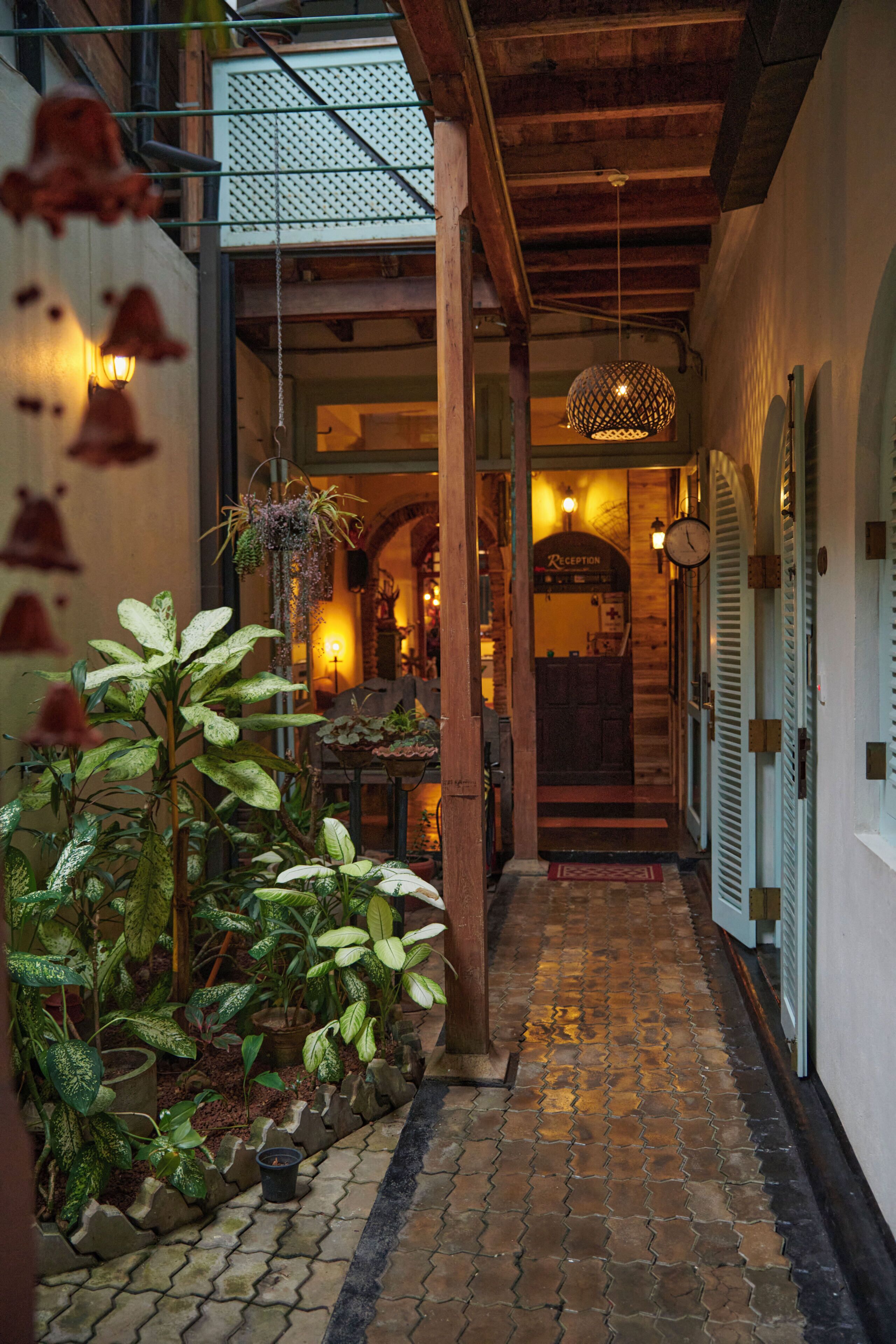 Terraza o patio