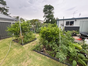 Property grounds - Newly renovated 2-bedroom apartment in Hawks Nest 2 min walk to water,AC,BBQ. (Hawks Nest)