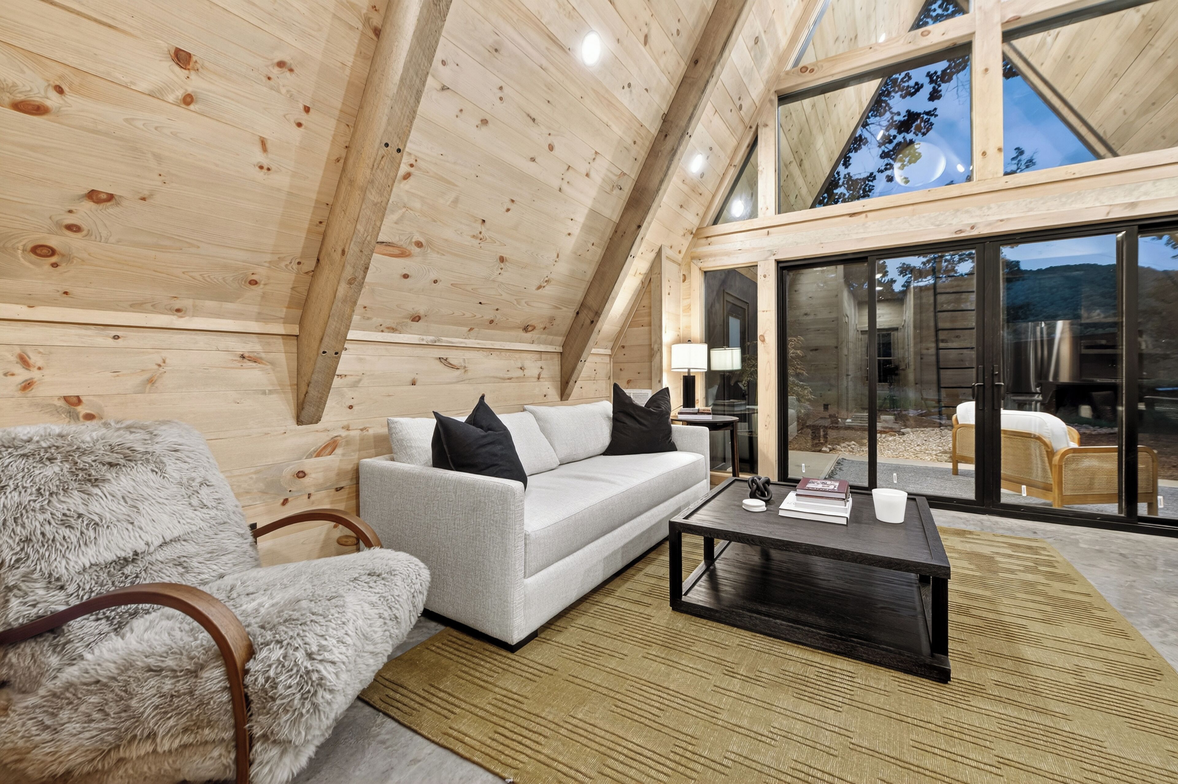 Smart TV, chimenea, libros