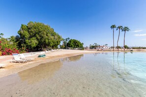 Beach - Val Vista Lakes Salt Water Pool Gem (Gilbert)