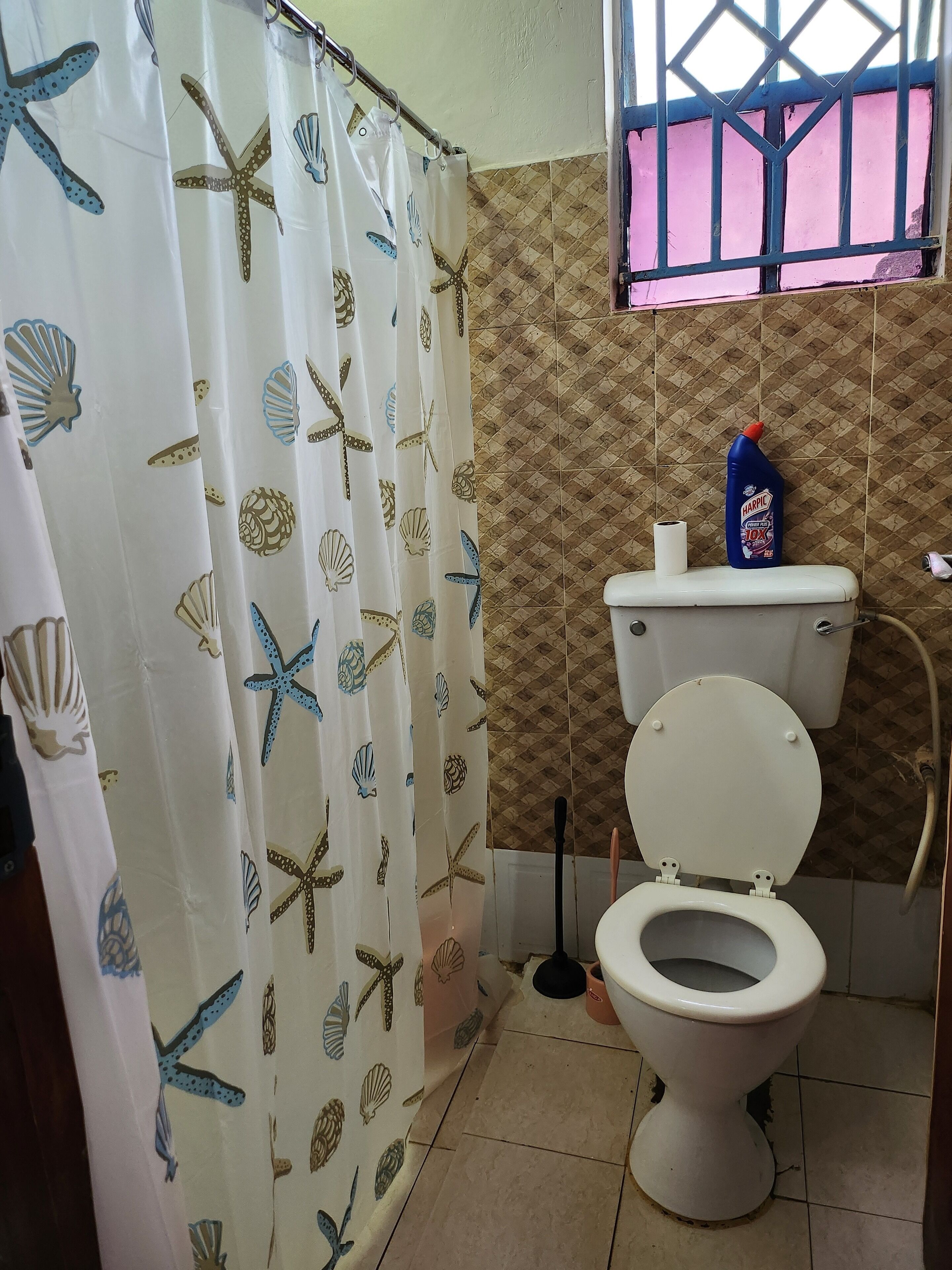 Douche, serviettes fournies, savon, papier toilette