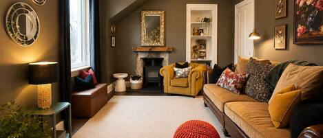 TV, fireplace, books