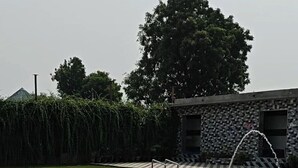 Uma piscina com um edifício de pedra e uma árvore ao fundo.