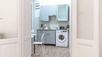 Basic Apartment | Private kitchen | Fridge, microwave, oven, stovetop