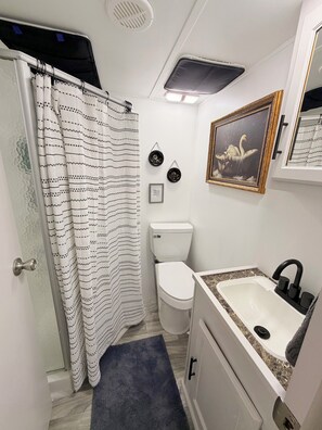 Une petite salle de bain avec un rideau de douche, des toilettes, un lavabo et un tableau encadré au mur.