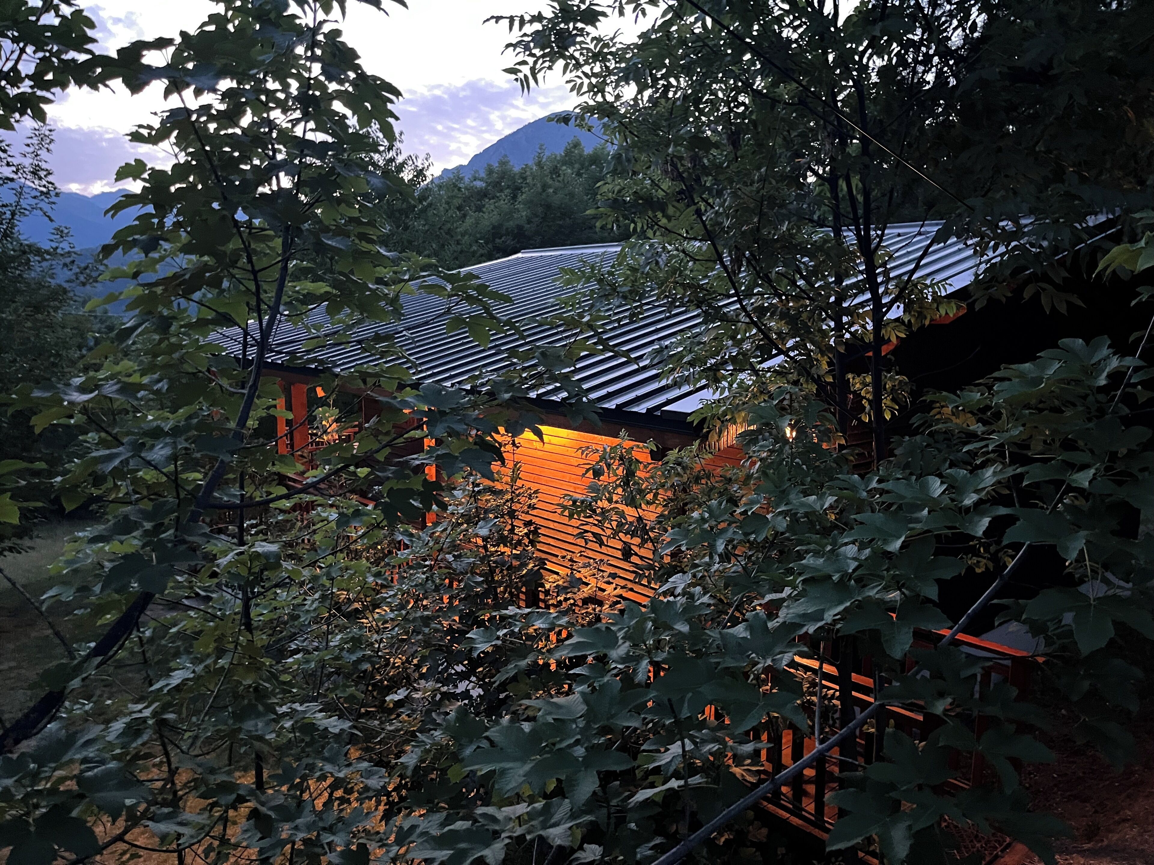 Un bâtiment doté d’un toit en pente, entouré d’une végétation luxuriante.