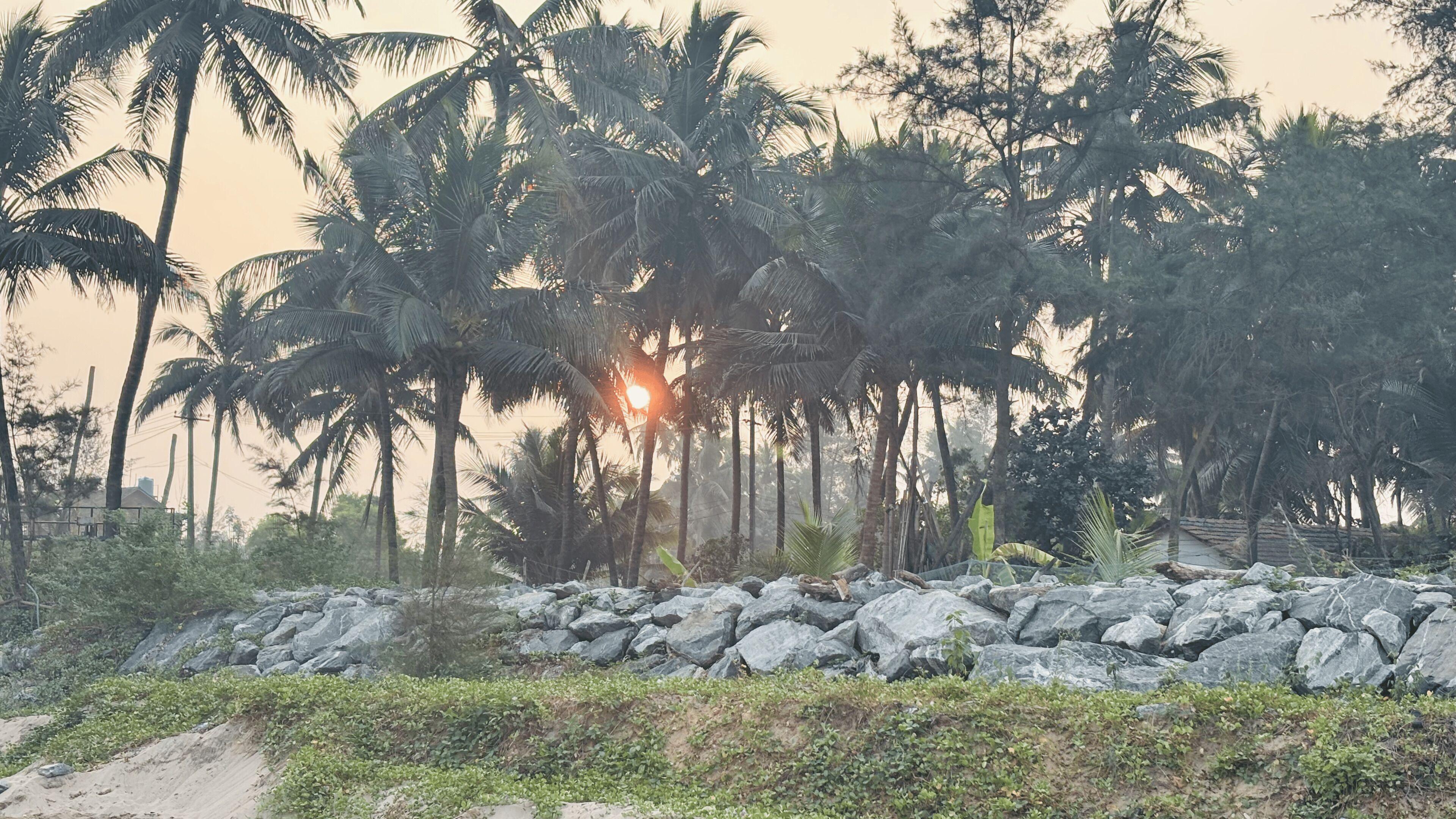 บริเวณภายนอก