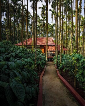 Traditionele boomhut, uitzicht op heuvels | Een kluis op de kamer, een bureau, een laptopwerkplek