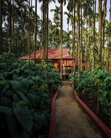 Caja de seguridad en la habitación y escritorio 