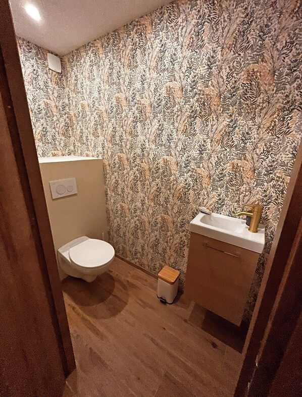 Hair dryer - Stone house with large garden and view (Montmeyran)