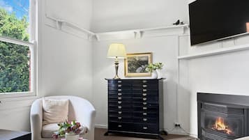 Televisión y chimenea