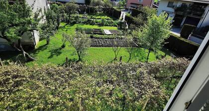 Bela Vilinka - Jacuzzi & Sauna