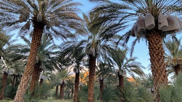 Enceinte de lâhĂ©bergement