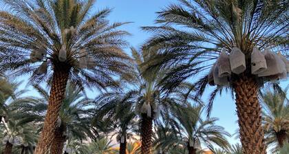 China Ranch Farmhouse Oasis & Yurts: Near To Death Valley, Hot Springs, Trails!