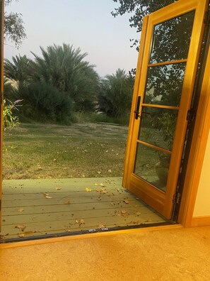 Property grounds -  Your Personal Desert Retreat for Deep Work & Renewal—Gateway to Death Valley (Tecopa)