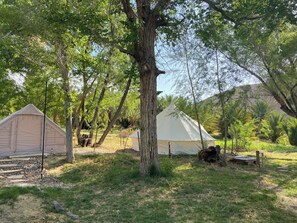 المنطقة المحيطة بالمنشأة