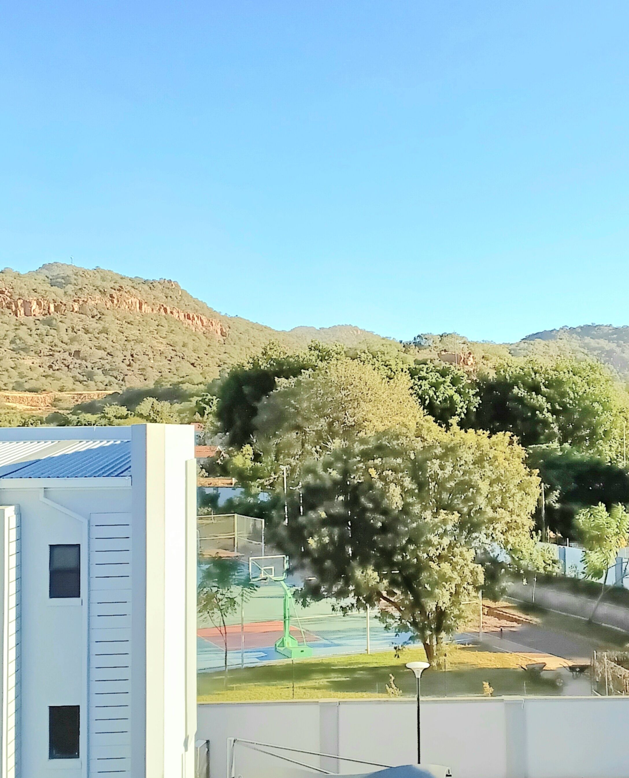 Ein Gebäude mit blauem Dach, einem Basketballplatz und einem Baum davor.