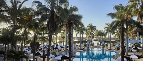 Unwind poolside with palm shade and spacious loungers.