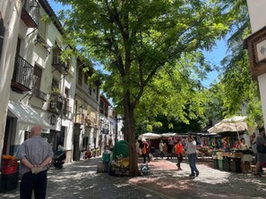 Miscellaneous - Charming accommodation in Albaicín, Granada (Granada)
