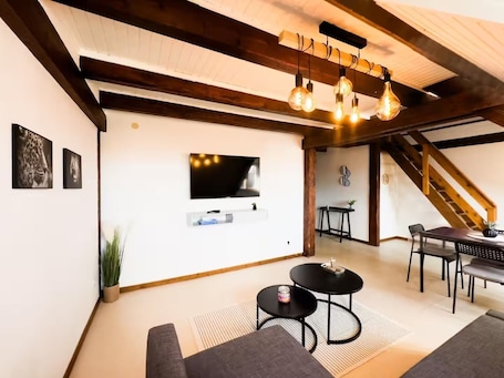 TV. Le Nid -Lovely 1-bedroom apartment in charming Soultz-Haut-Rhin