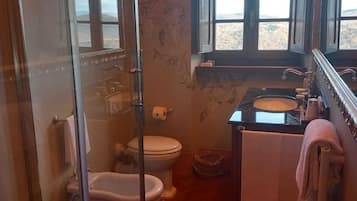 Shower, hair dryer, bidet, towels