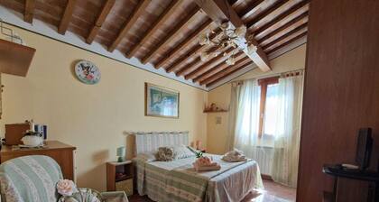 Intimate and cozy cottage with garden and whirlpool for exclusive use.