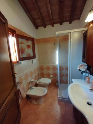 Shower, hair dryer, bidet, towels