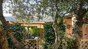 Une cour dotée d’une pergola, d’un espace détente et d’un bâtiment entouré d’une clôture à treillis.